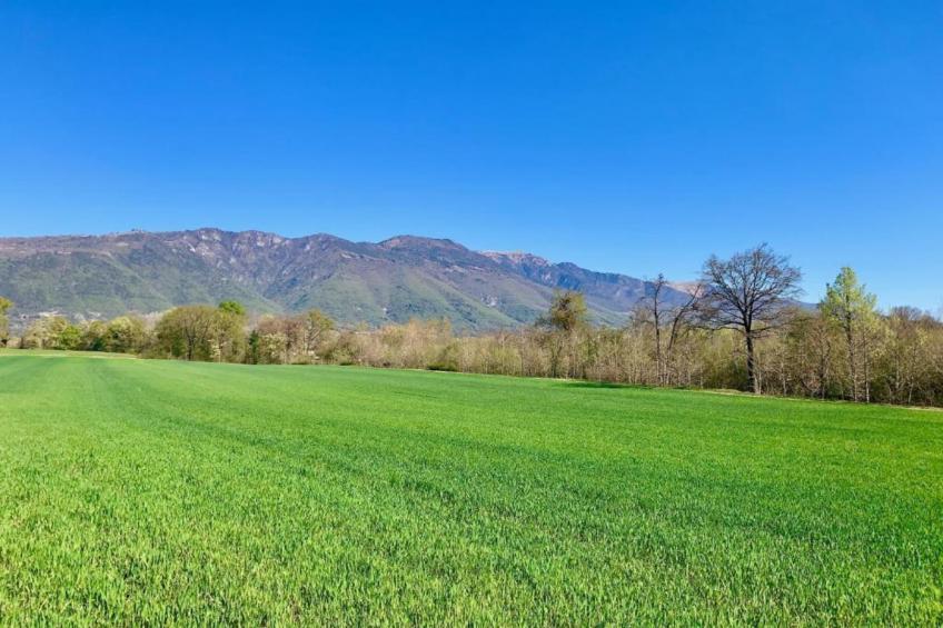 Villa Fiorita Tre - foto 23