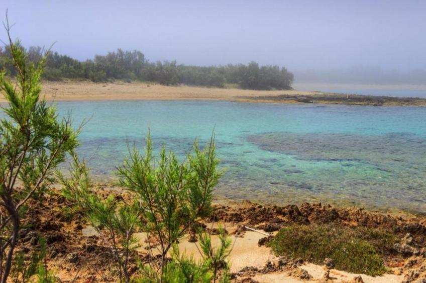 Palazzo Ostuni - foto 34