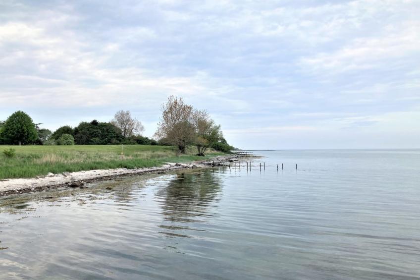 "Ilppo" - 200m from the sea in Funen - foto 4