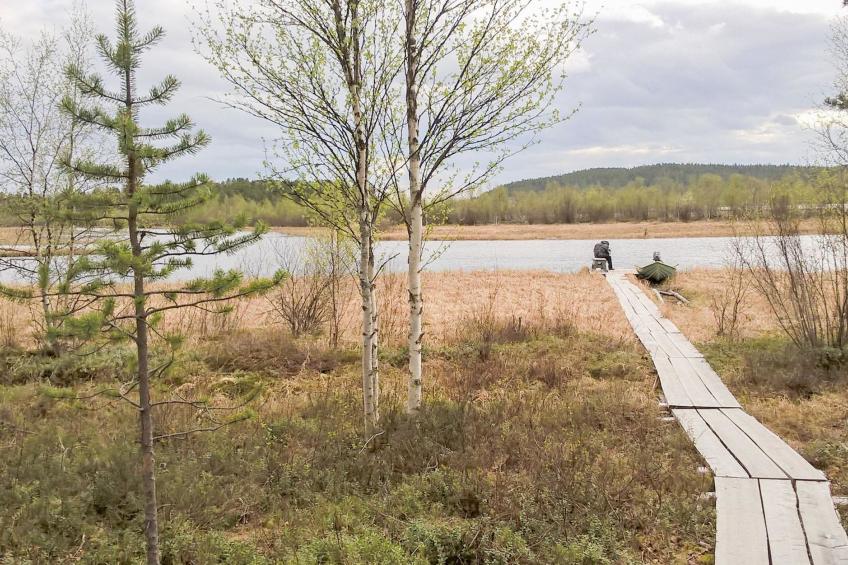 Hoviranta - foto 8