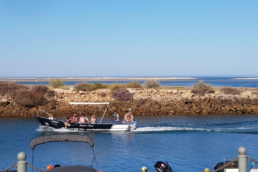 "Estrelinha da Fuzeta" - foto 24