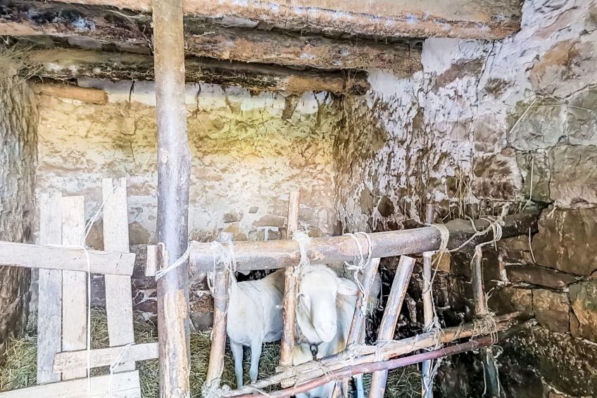 Il casolare di Campagna - Piano 1 - foto 34