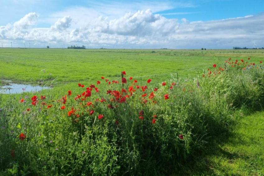 4-persoons bungalow Sondel 16 - foto 16