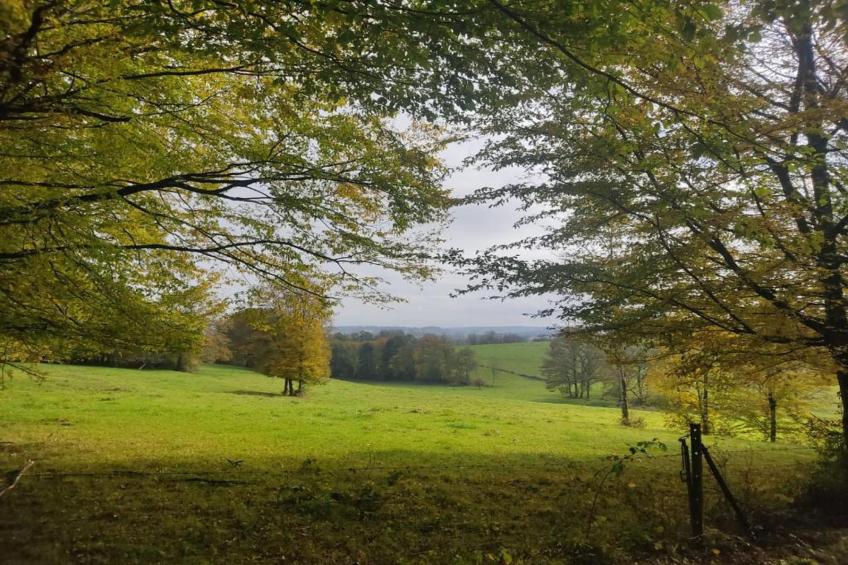 Holiday home for 8 peoples - foto 15