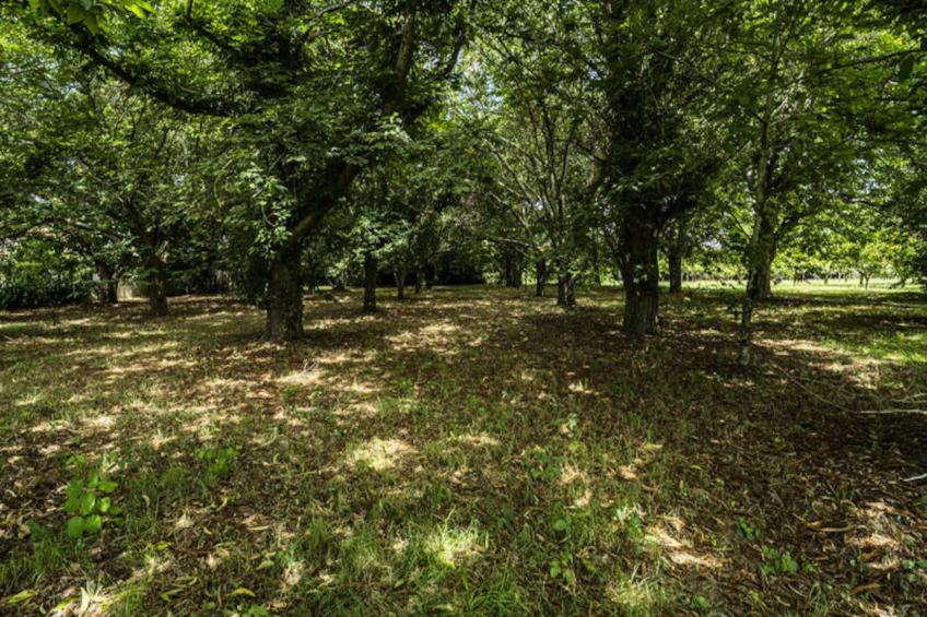 Maison à Santa Maria da Feira - foto 16