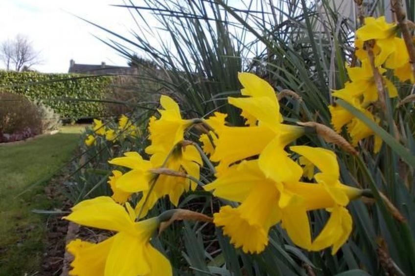 Komforthaus mit Traumgarten und Meerblick - foto 47