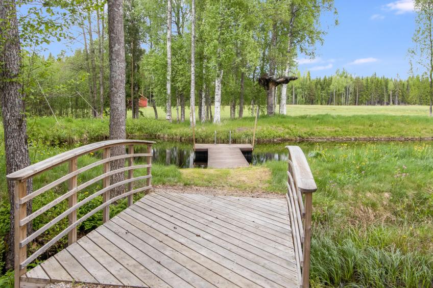 Taikinajoki - foto 2