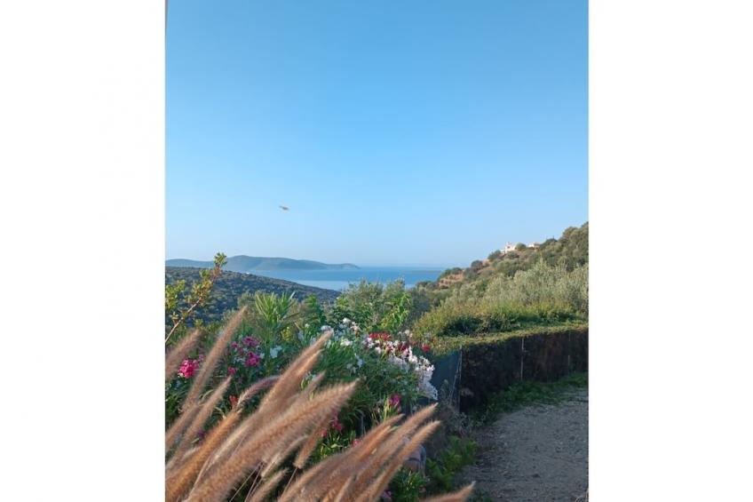 516423 - foto 15