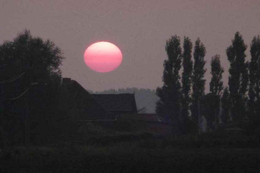 Rozenberghoeve - foto 37