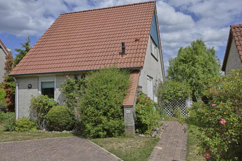 Rose Garden - foto 104