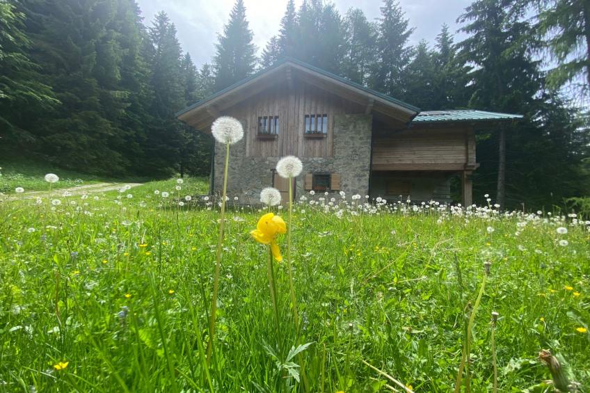 mit Sauna in Pieve Di Bono - foto 36