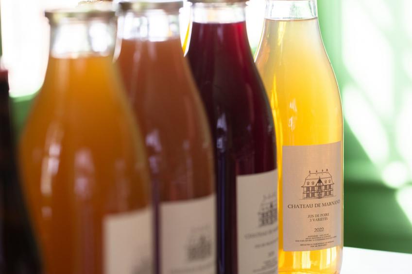 Chateau Duplex Ferme - foto 16