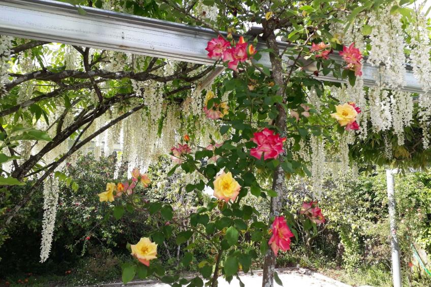 Quinta D'Avó Amélia, wunderschönes Landhaus zwischen den Bergen und dem Meer - foto 26