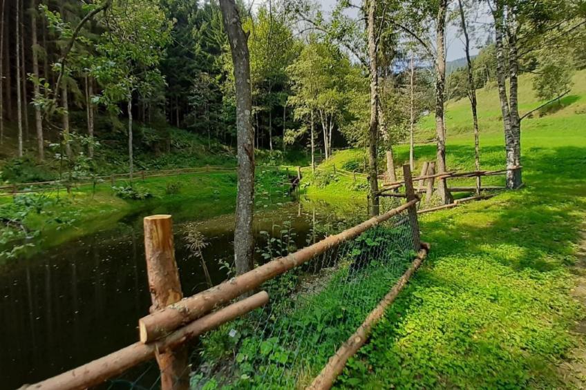 Teichhaus Simperle - foto 24