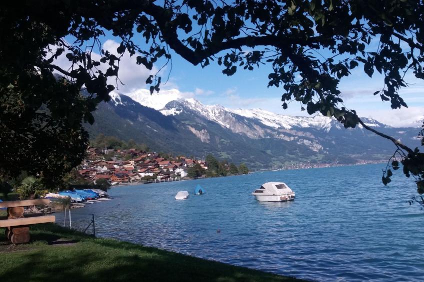 Chalet Waldmeier - foto 25