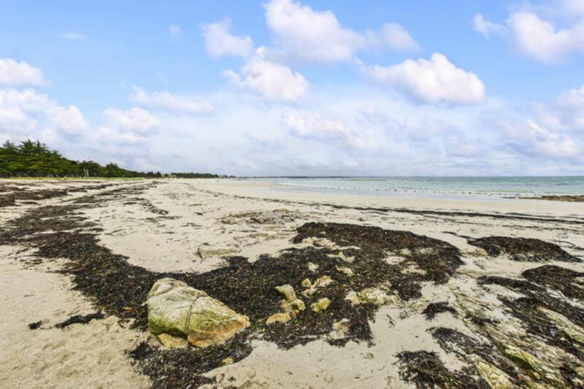 Maison à Île Tudy - foto 26