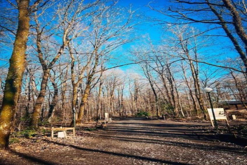 Les Trois Feuilles - foto 29