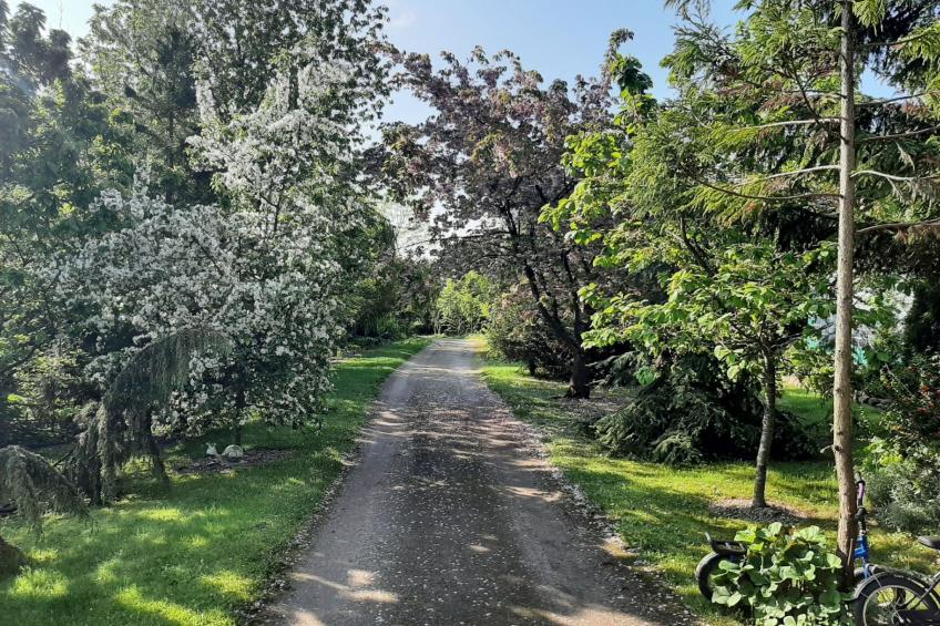 Meer, Landschaft, Stille - Ferienhäuser in den Gärten von Magra - foto 8