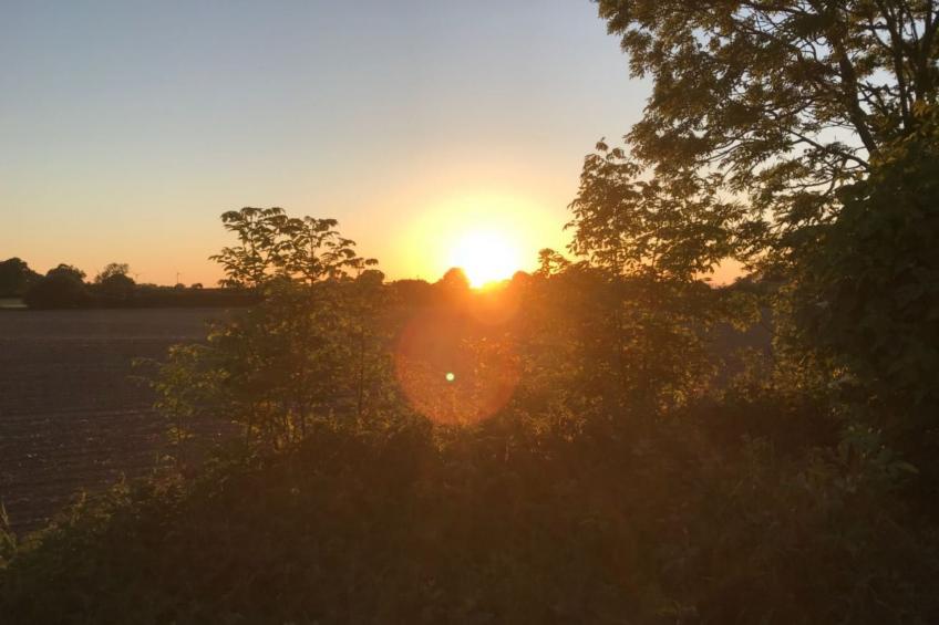 'Heile Welt' bei Maasholm - foto 18