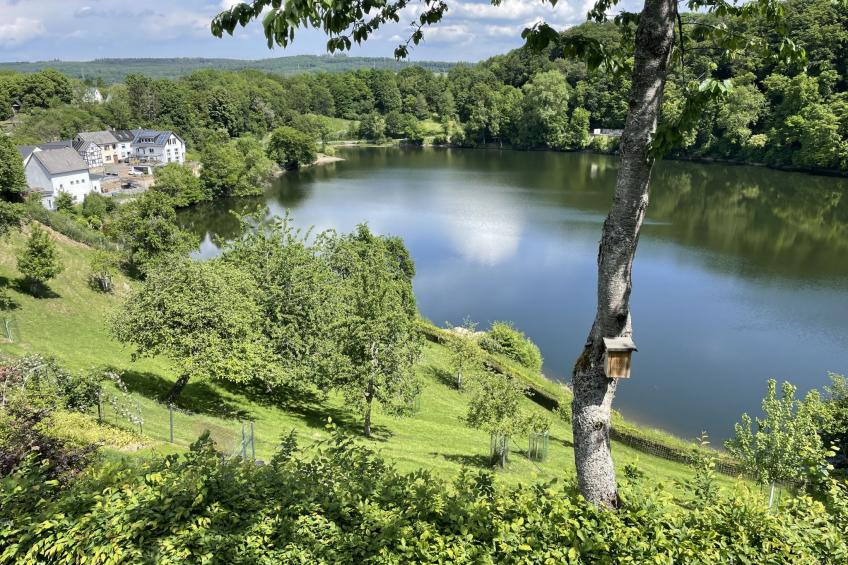 in Ulmen mit Grill - foto 24