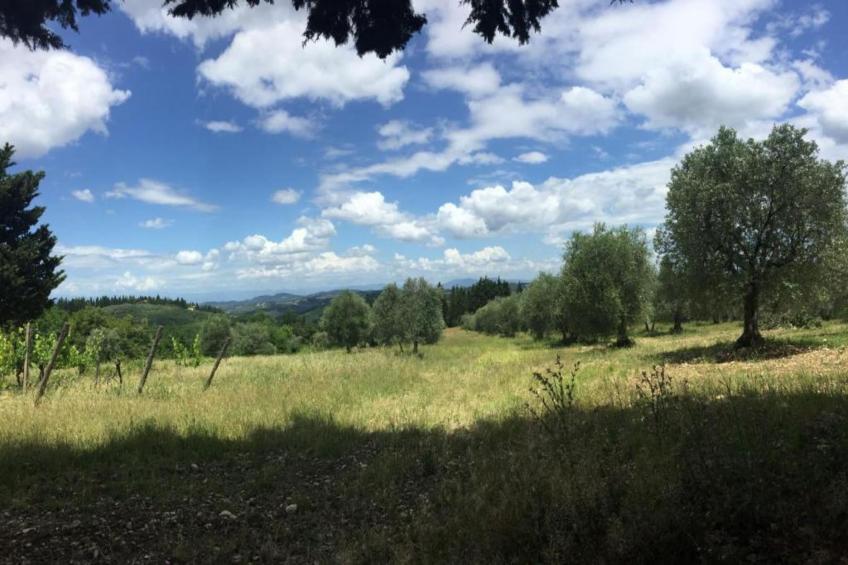 Casalini 2 - foto 36