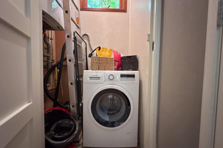 De Paradijsvogel - foto 12