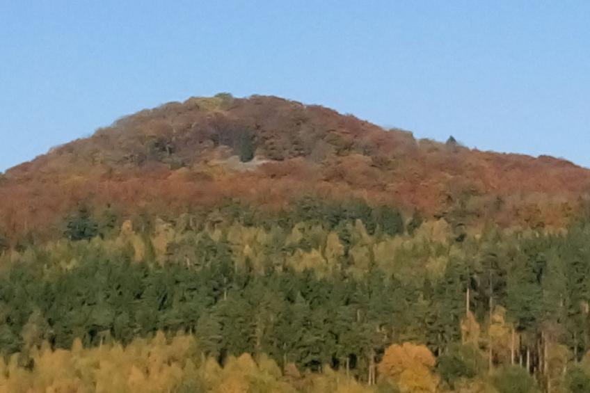 alte Apotheke - foto 14