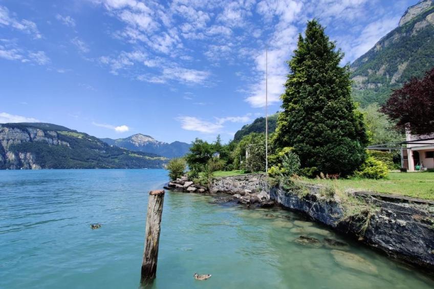 Ferienvilla am See 3 für 2-4 Personen - foto 17