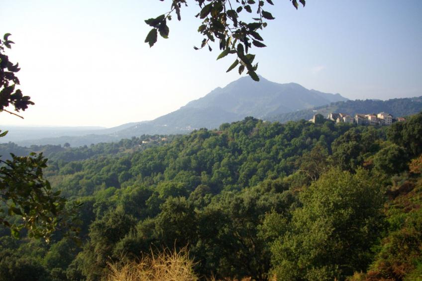 Sole e Ventu - foto 29