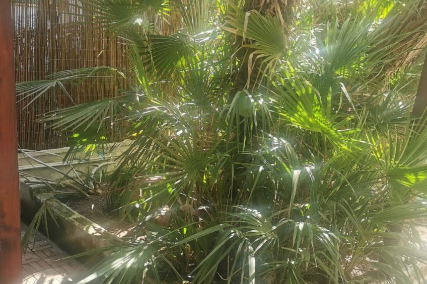 Entspannung am Meer in der Nähe von Neapel - foto 26