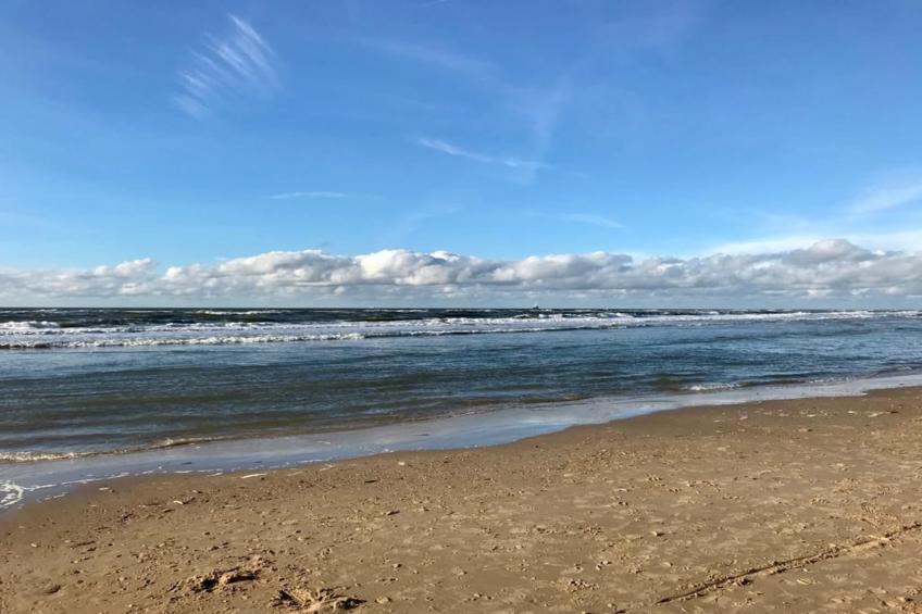 Zon in de duinen - 33 - foto 32