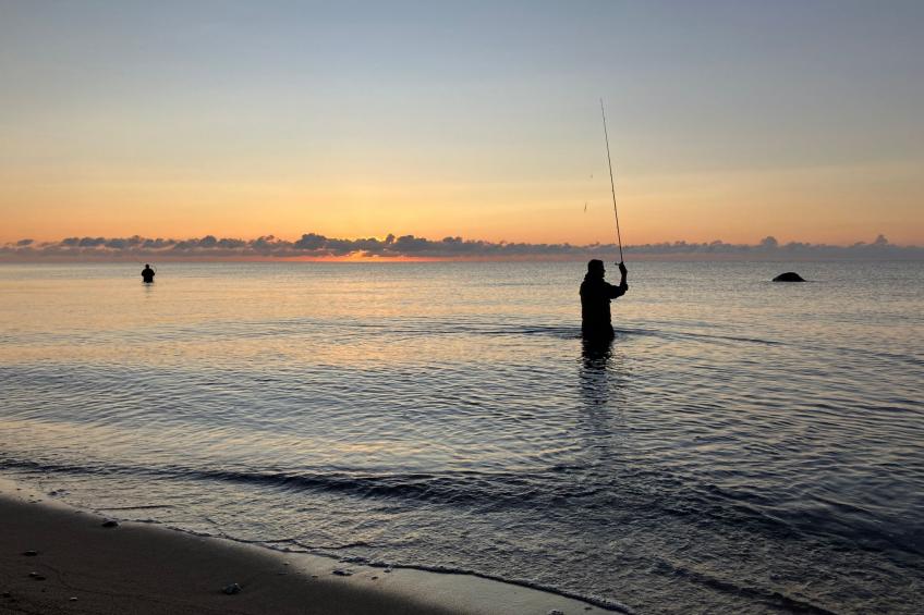 Gemütliche Ferienwohnung in Brodersby-Schönhagen - foto 32