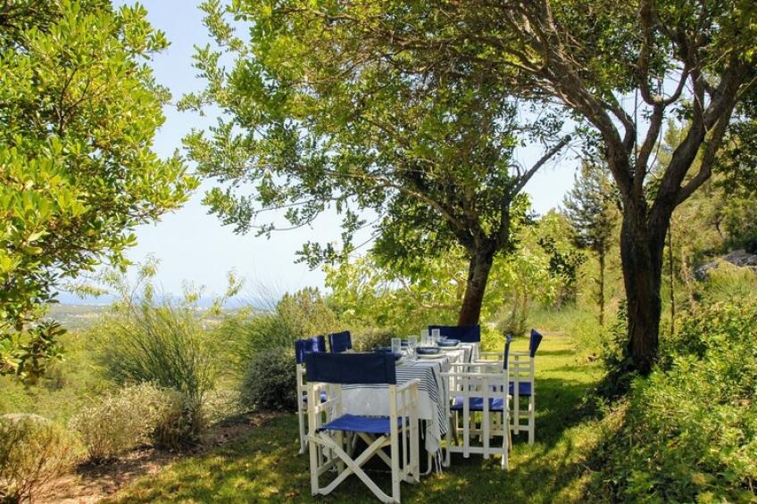 Finca Planetas - foto 26