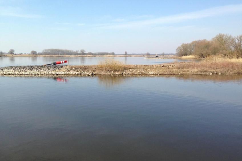 Elbe-Ilenpool -In Ruhe entspannen - foto 39