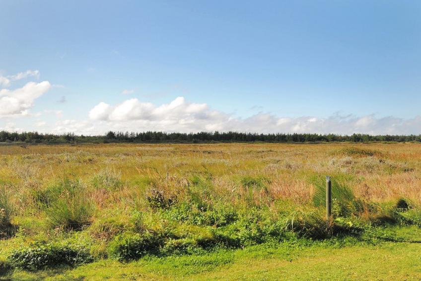 "Neven" - 900m from the sea in NW Jutland - foto 17