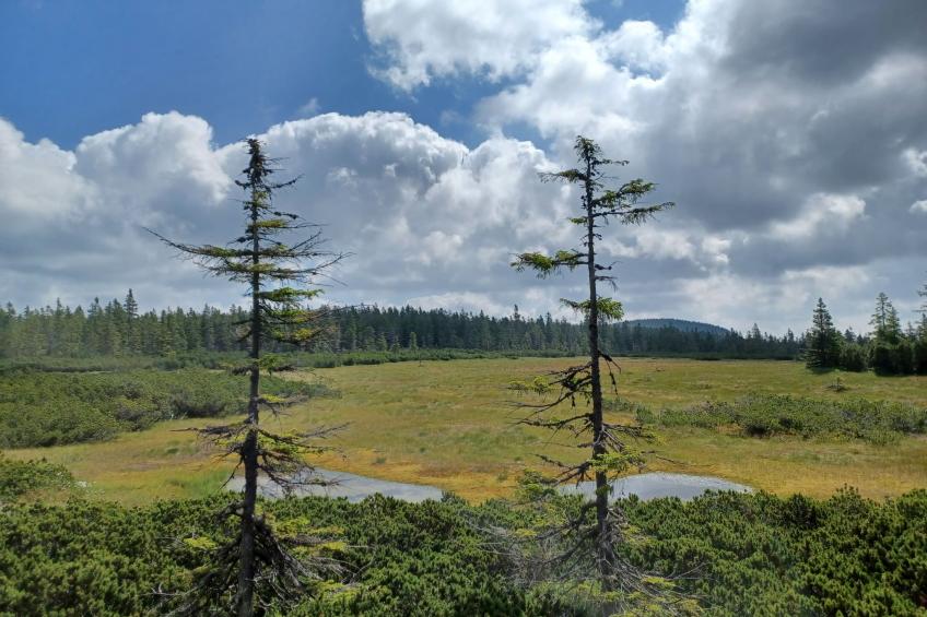 Penzion Natty - foto 28