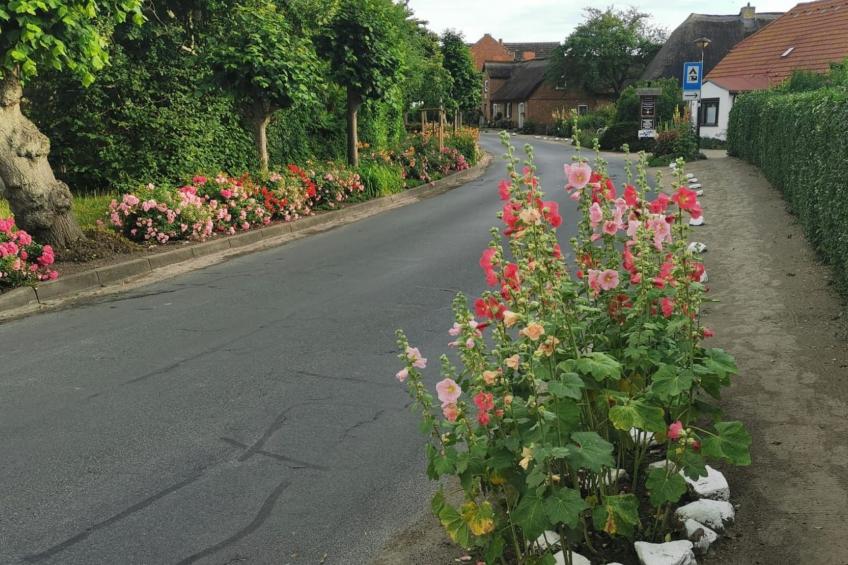 Wohnung für vier Personen im Erdgeschoss - foto 16