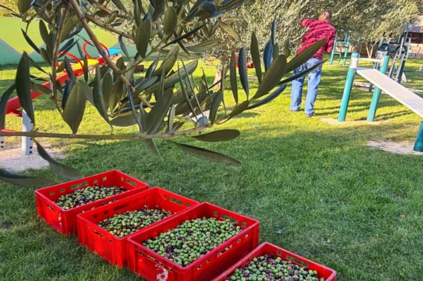 Villa Popovića Dvori -  Six Bedroom Villa with Pool - foto 148