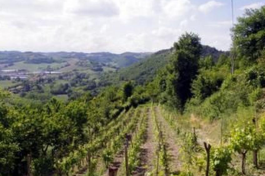 Landhaus mit einer atemberaubenden Aussicht, - foto 12