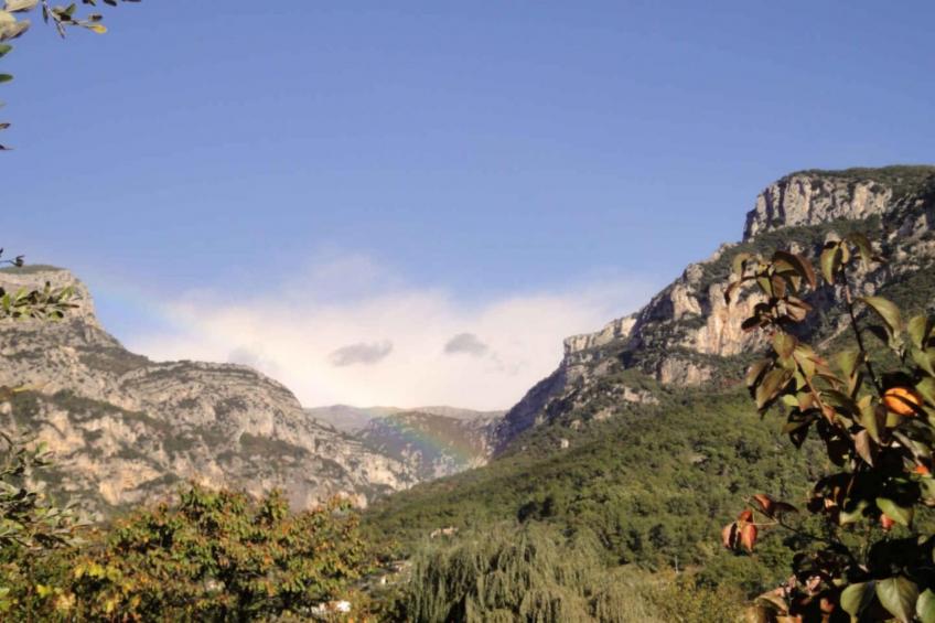 L'Eugénie - foto 22