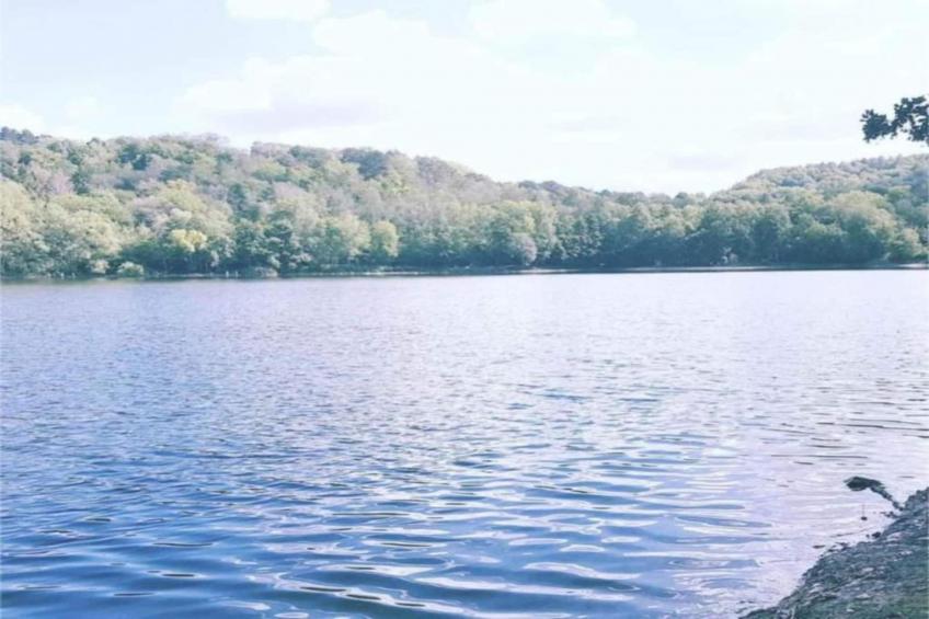 Haus Gisela - foto 31