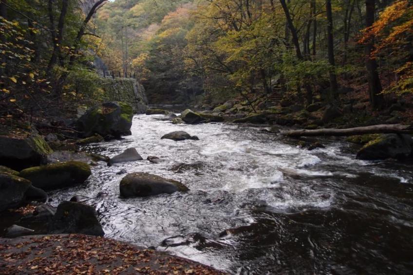 Zur Teufelsmauer - foto 33