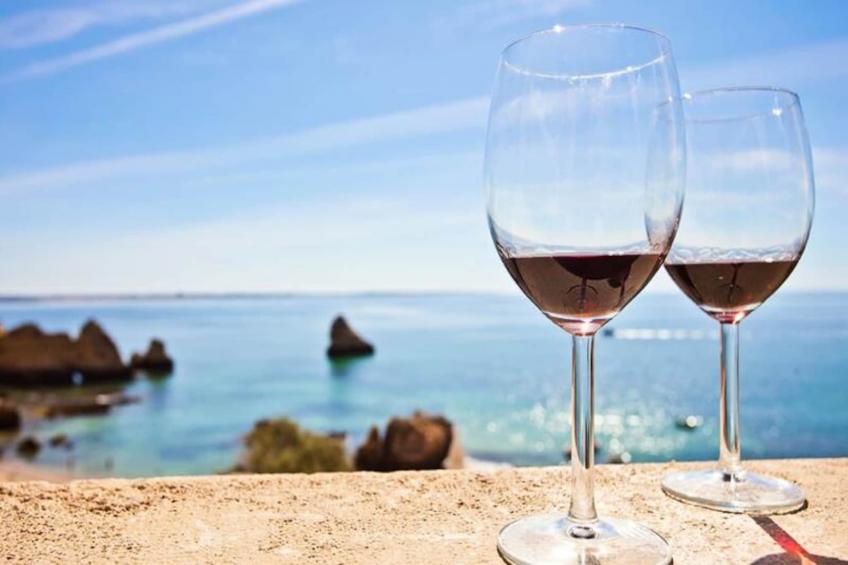 Meia Praia View Apartment - foto 23