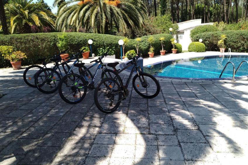 Villa das Palmeiras mit großem Schwimmbad - foto 35