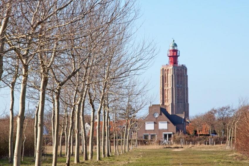 131844 - foto 18