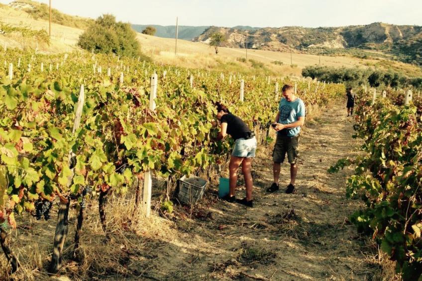 in Badolato Marina - foto 39