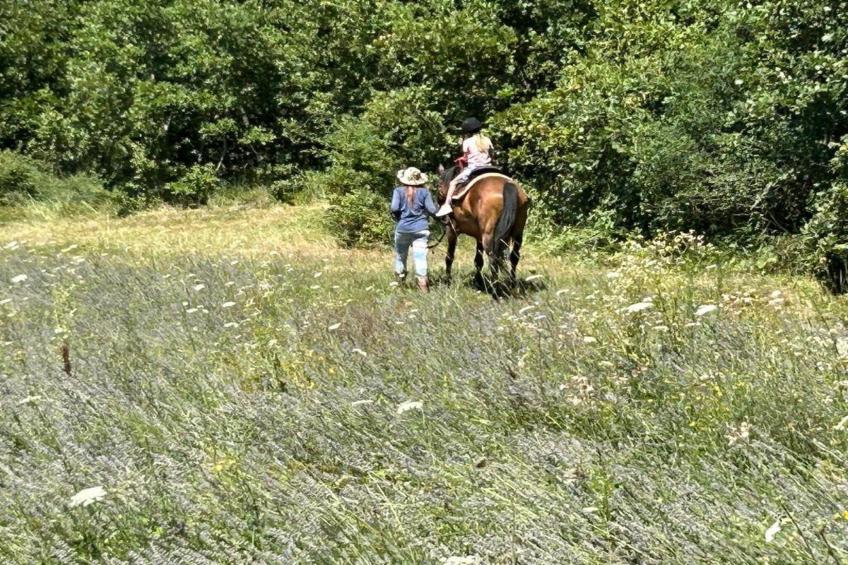 Apartments Indira - Bali - One Bedroom Apartment - foto 14