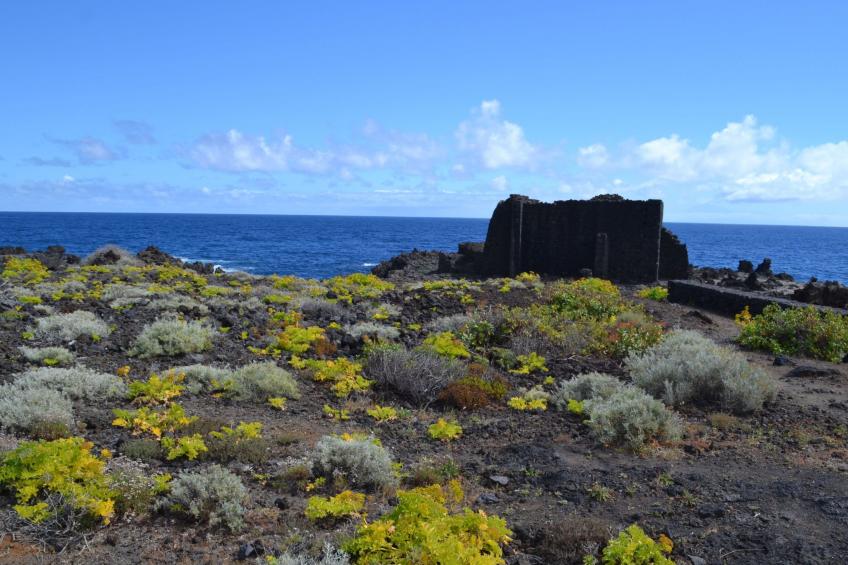 Strand und Entspannung Wohnung - foto 21