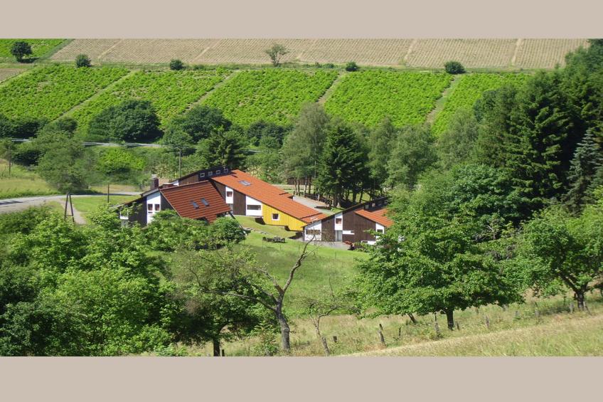 Murmeltier - foto 34