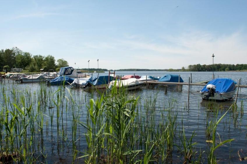 in Alt-Schadow mit Grill und Terrasse - foto 7